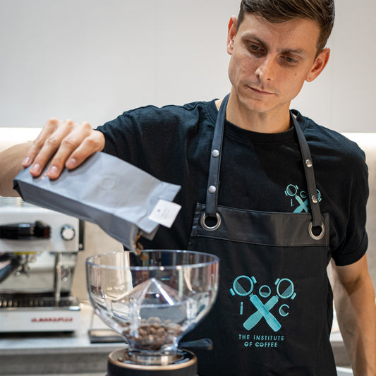 Barista Foundation / Specialty Coffee Association Course